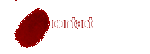 contact information